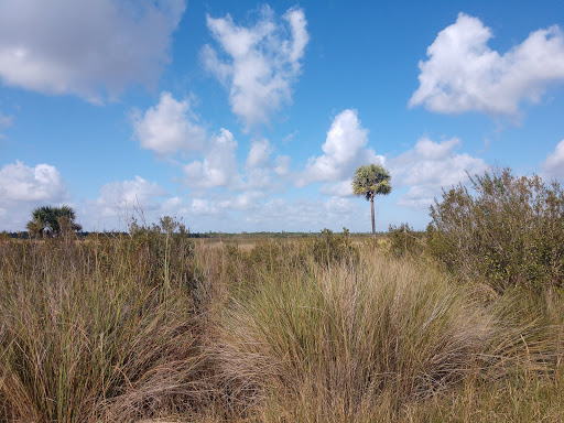 Buck Lake Conservation Area Gallery - United States