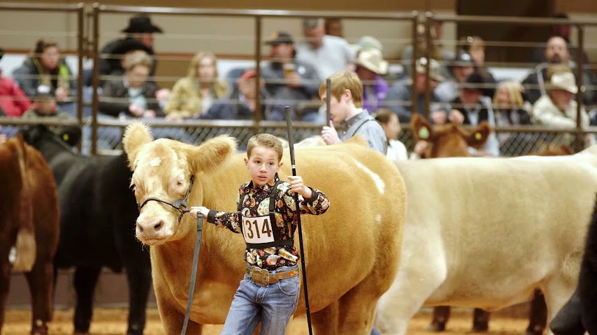 Fort Worth Stock Show & Rodeo by null