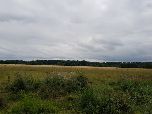 Venusberg Waldau - Thumbnail