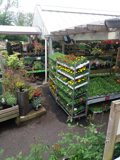 Carmarthen Garden Centre - Thumbnail