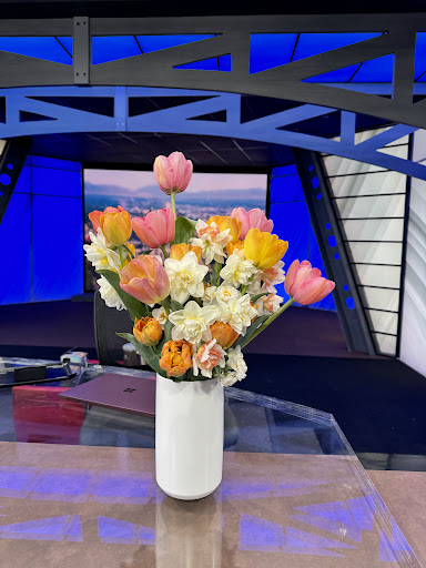 Suncrest Flowers - Visual