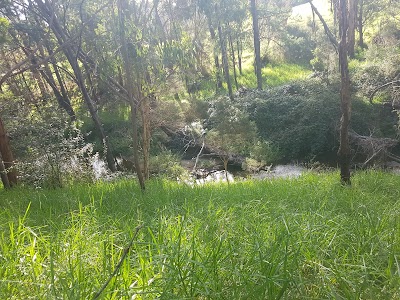 Photos of Franklin River Reserve Campground