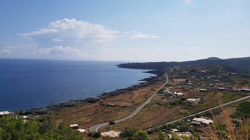Kattibuale - Visual