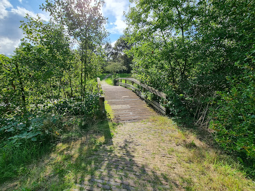 Vijver Borgerbrink-Asserbrink - Thumbnail