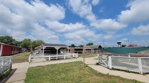 Lambs Farm - Visual