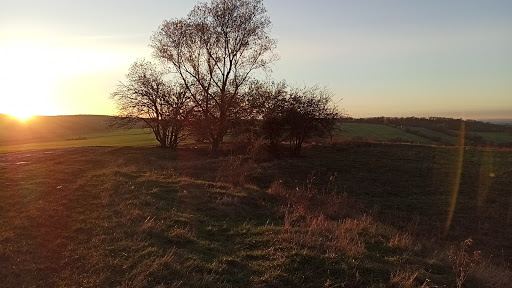 Burgenblick - Visual