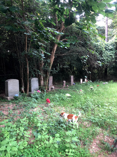Roeder Cemetery - Visual