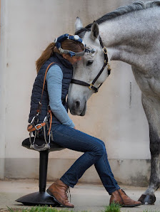 Bild: Tierärztliche Praxis für Pferde Dr. Stefanie Ebner Alle