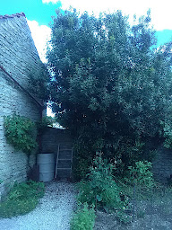 Photo n°13 de EIKO multi services à Montbard (Service de débarras de maison)