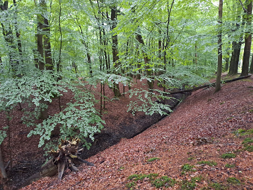 Landgoed de Molenbeek - Thumbnail