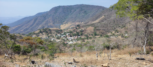 Panteon xochipala