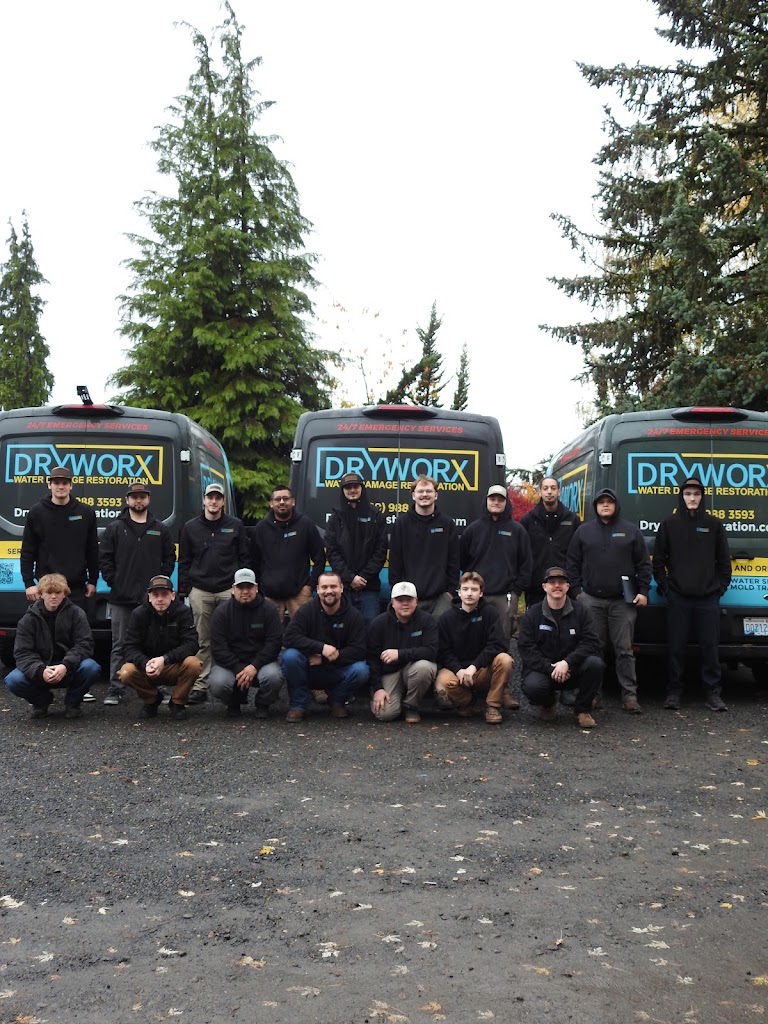 Dryworx Water Damage Restoration photo