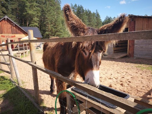 Rakši ZOO