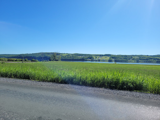 Fredericton - Thumbnail