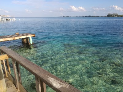 Photos of Utila Cays Diving