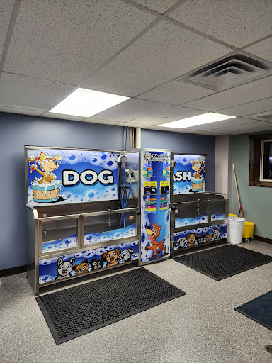 Melillo Coin Laundry and Dog Wash Logo
