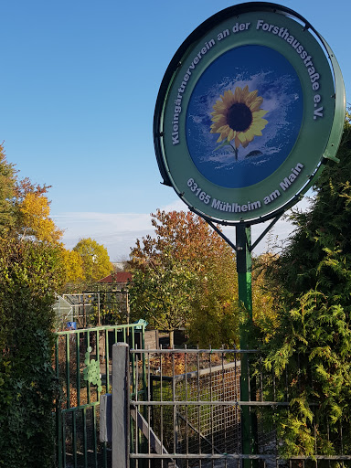 Kleingärtnerverein an der Forsthausstrasse