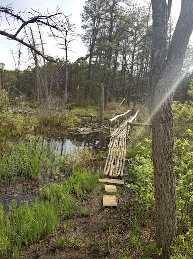 Crossley Nature Trail - Thumbnail