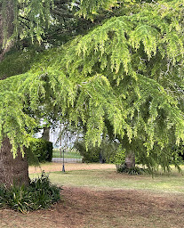 Photo n°32 de Le Château de Leugny à Plaine-et-Vallées (Spa de jour)