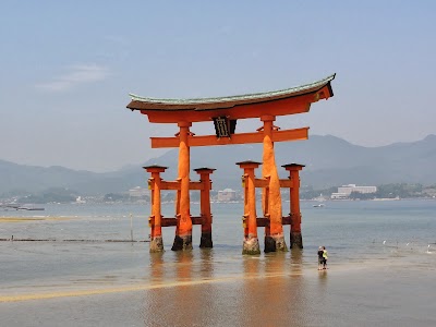 travel-agency