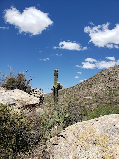 Javelina Rocks - Saguaro National Park (East)