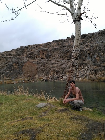 Photos of تفرجگاه قصر یعقوب