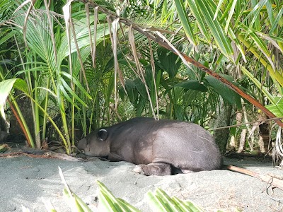 Photos of Playa Sirena