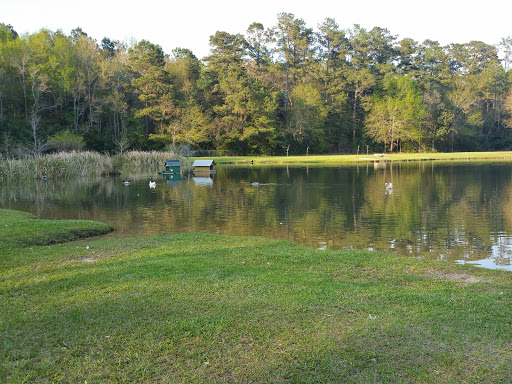 North Oak Park - Thumbnail