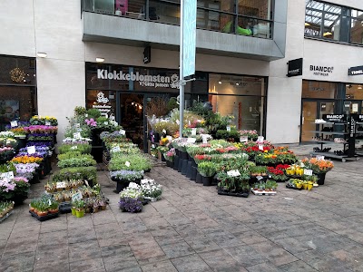 Klokkeblomsten (Permanently Closed), Hovedstaden - Region Of (+45 21 26 63 09)