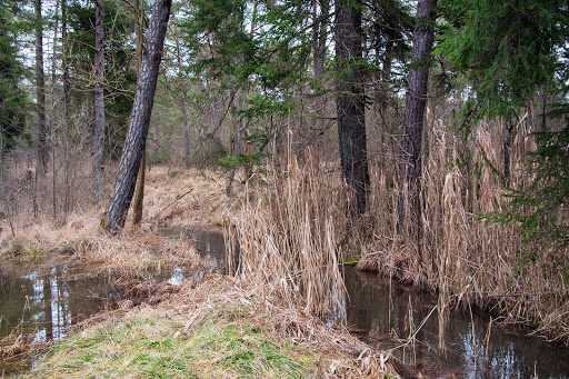 Kuhheide - Visual