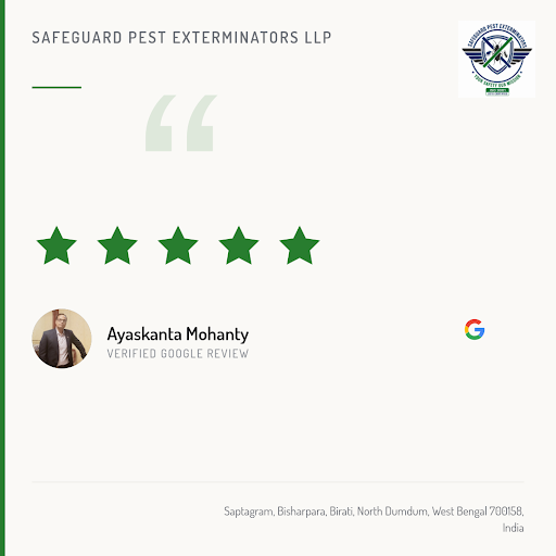 Ayaskanta Mohanty raves about Safeguard Pest Exterminators LLP's exceptional termite control and… post image