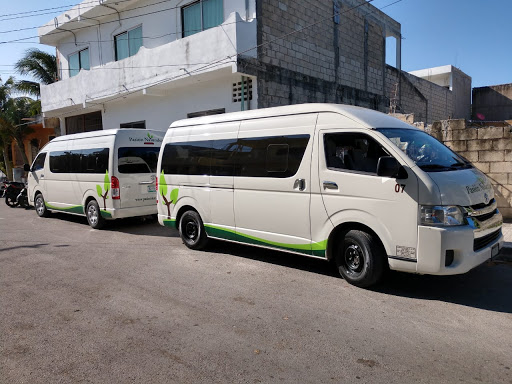 Pasion Naturaleza S.A. de C.V.