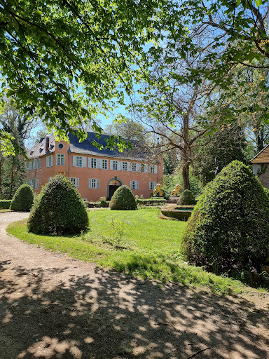 Biebersteinsches Schloss - Thumbnail