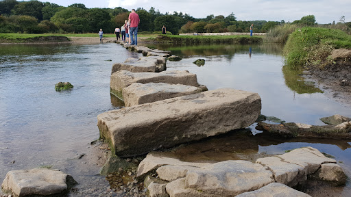 The Stepping Stones - Thumbnail