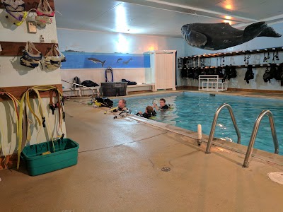 Photos of Underwater Phantaseas