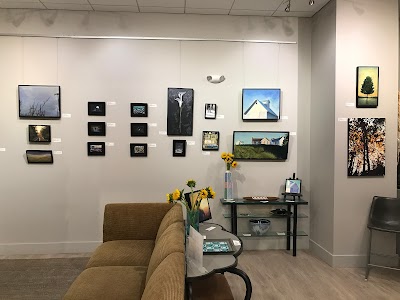 Hayley Gallery