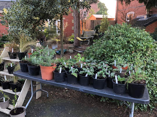 Val's Plant Stall - Thumbnail