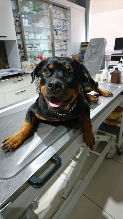 Photos of Ares Veteriner Klinigi