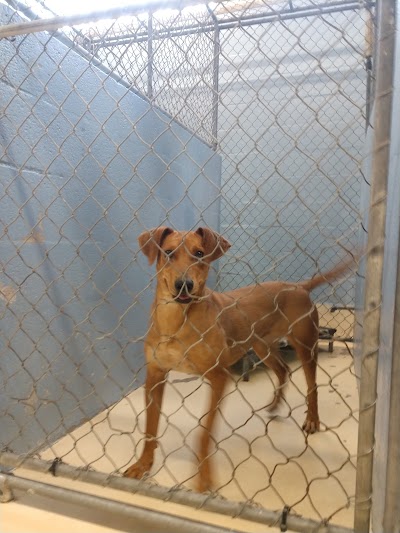 Jefferson Parish Eastbank Animal Shelter