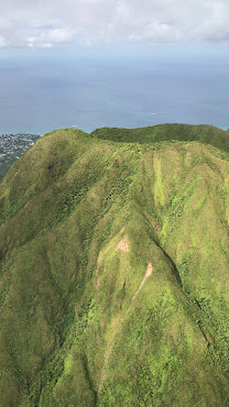 Greg's Safaris by null