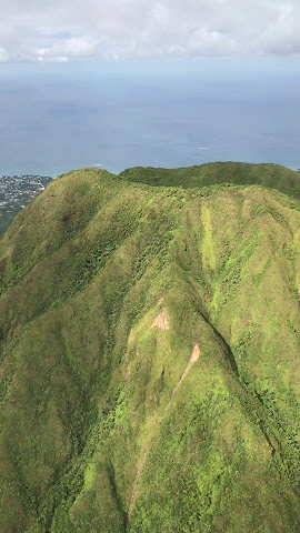 Greg's Safaris by null