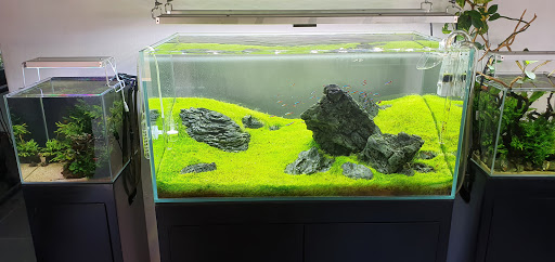 Habitat Nature Aquariums - Thumbnail