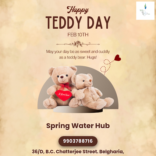 Happy Teddy Day 2026 post image