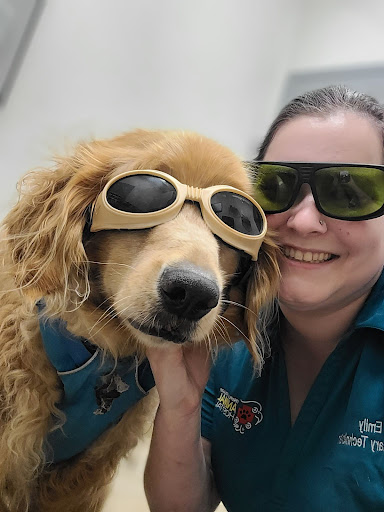 Temple Terrace Animal Hospital - Thumbnail