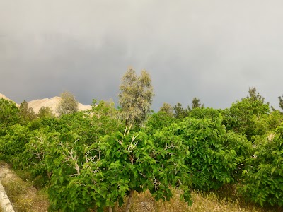 Photos of Islamic Azad University of Khomeini Shahr