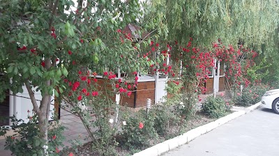 Photos of Qımıl Restoran