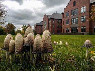Photos of Saint Michael's College