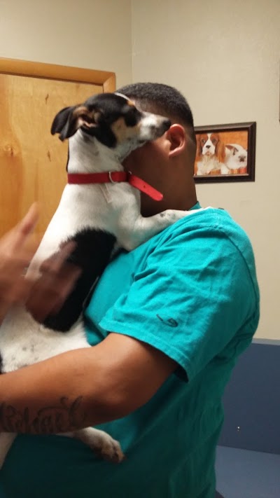Photos of St Mary's Animal Clinic