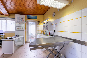 Photo n°36 de Clinique vétérinaire d'Isle à Saint-Quentin (Vétérinaire)