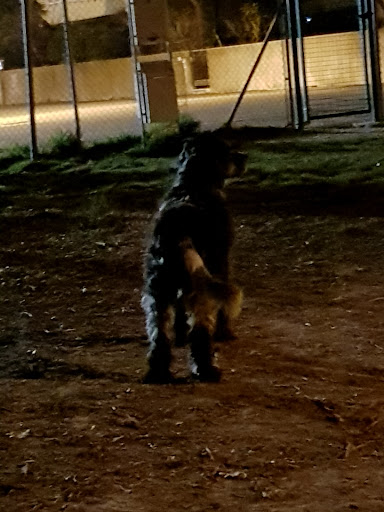 Area Sgambamento Cani San Pancrazio - Thumbnail